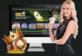 677bet